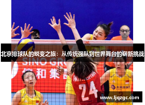 北京排球队的蜕变之旅：从传统强队到世界舞台的崭新挑战
