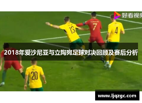 2018年爱沙尼亚与立陶宛足球对决回顾及赛后分析