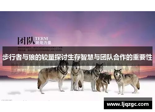 步行者与狼的较量探讨生存智慧与团队合作的重要性